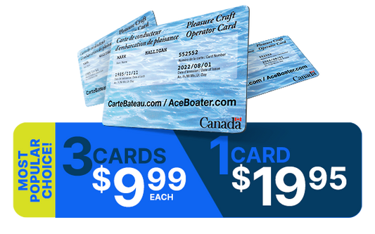 Replacement Card - Pleasure Craft Operator Card